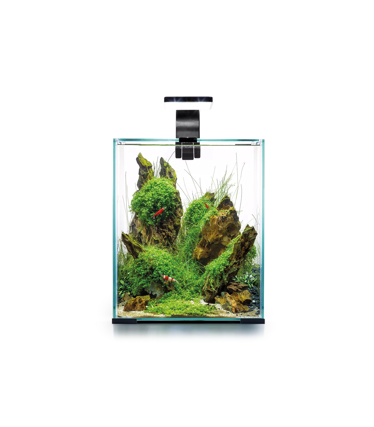 Aquael 122978 Shrimp Set Day&Night 20, zwart, 4,63 kg, 20 liter
