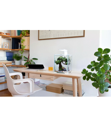 Acuario Wio 30P | Urnas para Aquascaping | Acuario Plantado