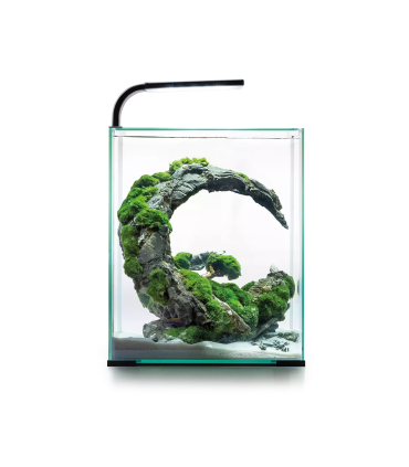 Kit Shrimp day & Night 30 Aquael |Gambarios | Acuario Plantado