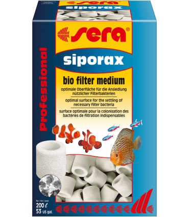 Canutillos sera siporax