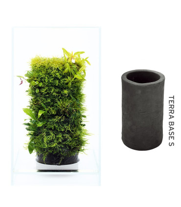 Terrario DOOA Terra Base | Terrarios | Acuario Plantado