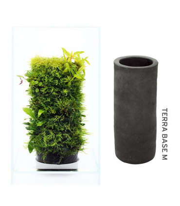 Terrario DOOA Terra Base | Terrarios | Acuario Plantado