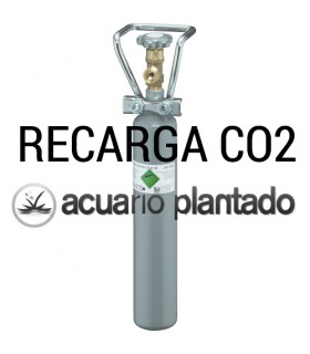 Recarga de Bombona de CO2 de 1L