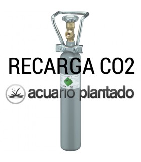 Recarrega de Bombona/Extintor de CO2 de 2Kg
