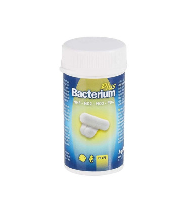 Bacterium E Plus - 12 capsulas
