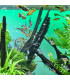 Alimento peces acuario escamas JBL Novobel