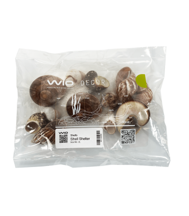Wio Shell Shelter | Conchas para acuarios | Acuario Plantado