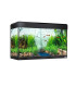 Fluval Roma 125 | Kit de acuario Fluval | Acuario Plantado