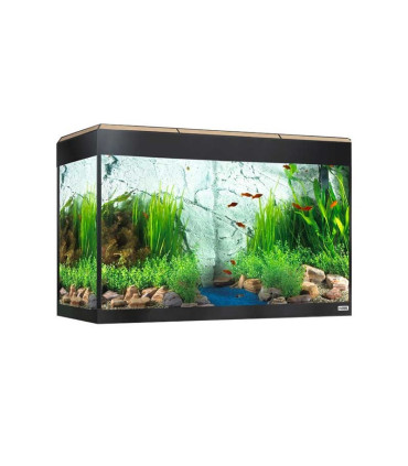 Fluval Roma 125 | Kit de acuario Fluval | Acuario Plantado