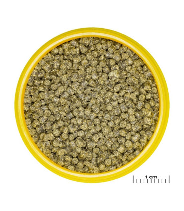 Comida para gambas | JBL Pronovo Shrimp | Acuario Plantado