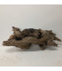 Driftwood para acuario | Maderas para acuario | Acuario Plantado