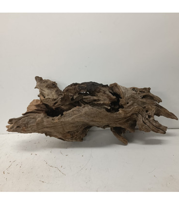 Madera Opuwa para acuario 1 | Maderas para acuario | Acuario Plantado