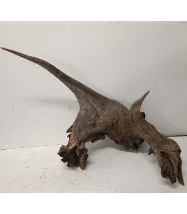 Driftwood para acuario | Maderas para acuario | Acuario Plantado