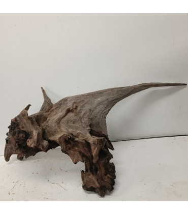 Driftwood para acuario | Maderas para acuario | Acuario Plantado