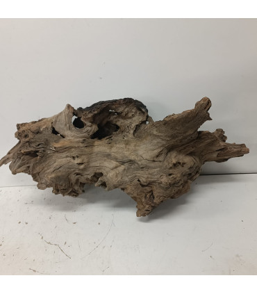 Madera Opuwa para acuario 1 | Maderas para acuario | Acuario Plantado