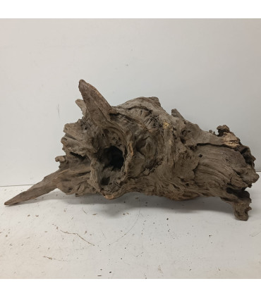 Driftwood para acuario | Maderas para acuario | Acuario Plantado