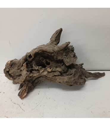 Driftwood para acuario | Maderas para acuario | Acuario Plantado