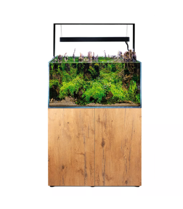 Acuario Wio 30P | Urnas para Aquascaping | Acuario Plantado