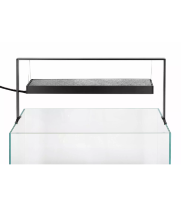 Acuario Wio 30P | Urnas para Aquascaping | Acuario Plantado