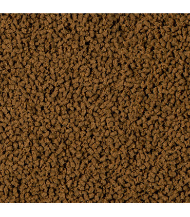 Sera insect Nature 250 | Alimento con proteinas para peces | Acuario Plantado