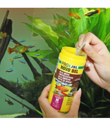 Granulado para comunitario | JBL Pronovobel grano 250 | Acuario Plantado