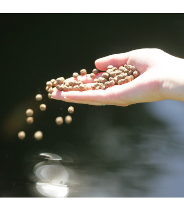 JBL Propond All seasons 12L | Comida para peces de estanque | Acuario Plantado