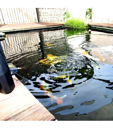 Alimento peces acuario escamas JBL Novobel