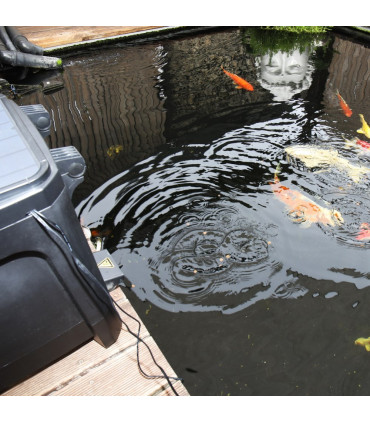 Alimento peces acuario escamas JBL Novobel