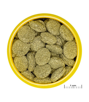 JBL Pronovo Pleco Wafer M 100ml