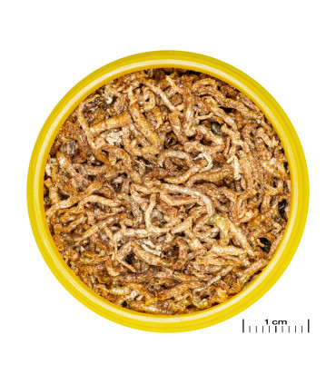 Alimento peces acuario Larvas mosquito JBL Novofil 100ml