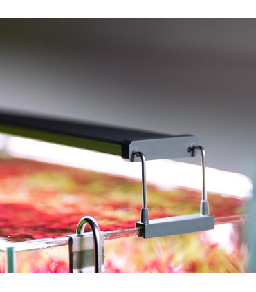 Iluminacion LED Chihiros B45 | Acuario Plantado