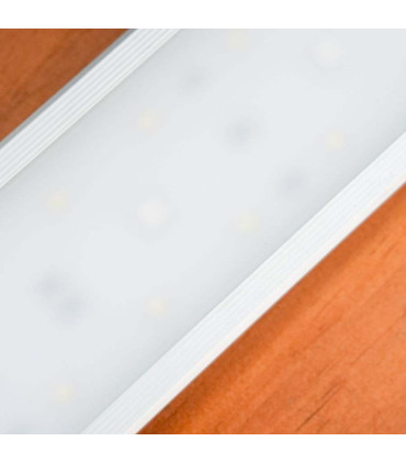 Iluminacion LED Chihiros B80 | Acuario Plantado