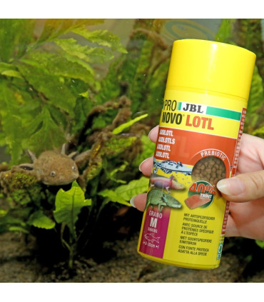 Alimento peces acuario escamas guppys