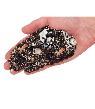 Wio Nautilis Dark 2kg | Lecho biotopo conchas | Acuario Plantado
