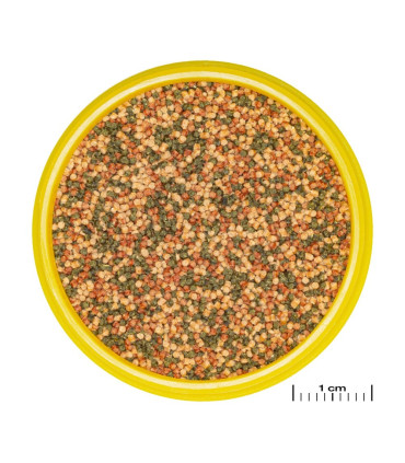 Alimento peces acuario escamas JBL Novobel