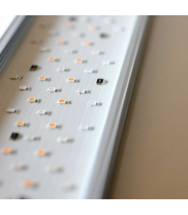 Twinstar RGB V 1200EA | Pantalla led plantas acuario | Acuario Plantado