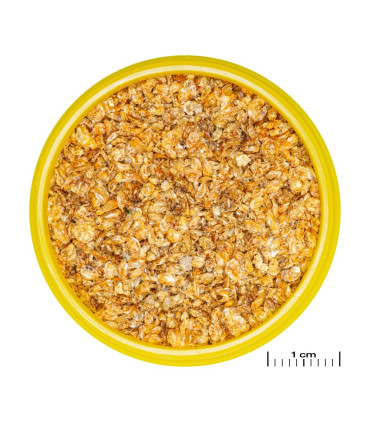 JBL Pronovo Daph | Daphnia pulga de agua para acuario | Acuario Plantado