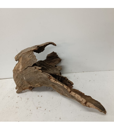 Madera Opuwa para acuario | Maderas Opuwa N10 | Acuario Plantado