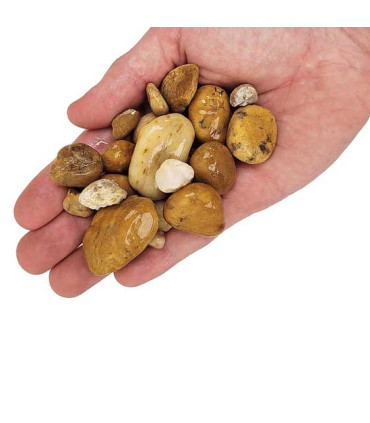 Wio Bumblebee grava 2kg| Grava amarilla para acuarios | Acuario Plantado