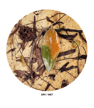 Wio Everglades 2kg | Lecho biotopo rio bosque | Acuario Plantado