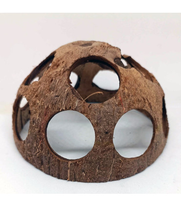 Coco Cheese | Botânico de aquário | Acuario Plantado