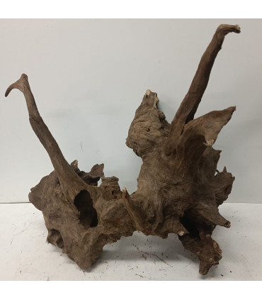 Madeira Opuwa para aquário | Bosques de Opuwa N11 | Aquário Plantado