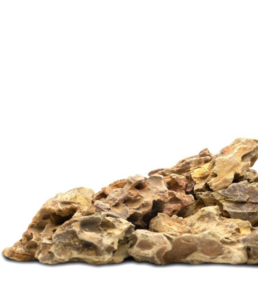 Pedra pequena Dragon | Decoração natural | aquário plantado