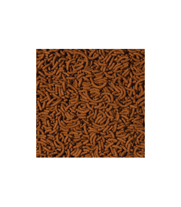 Tropical Arowana Sticks | Comprar comida para arowanas | Acuario Plantado