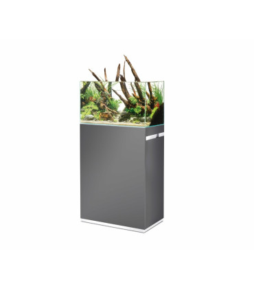 Oase Scaperline 60 |  Acuarios Oase | Acuario plantado