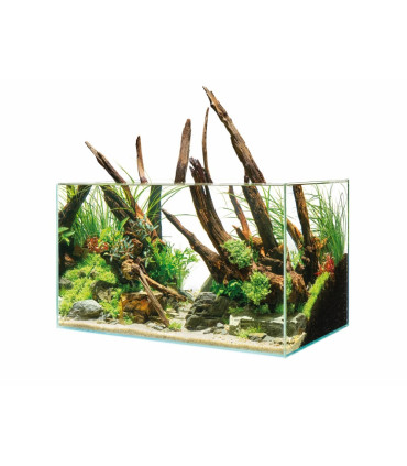 Oase Scaperline 60 |  Acuarios Oase | Acuario plantado
