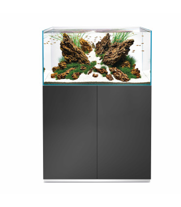 Oase Scaperline 90 |  Acuarios Oase | Acuario plantado