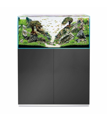 Oase Scaperline 100 |  Acuarios Oase | Acuario plantado