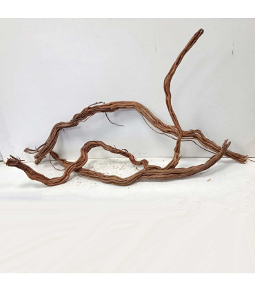 Arbol milenario para acuario | Twisted Root N86 | Acuario Plantado