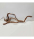Arbol milenario para acuario | Twisted Root N88 | Acuario Plantado